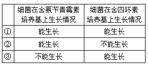 质粒是基因工程中最常用的运载体,它存在于许多细菌体内。质粒上有标记基因如图所示,通过标记基因可以推知外源基因(目的基因)是否转移成功。外源基因插入的位置不 质粒是基因工程中最常用的运载体,它存在于许多细菌体内。质粒上有标记基因如图所示,通过标记基因可以推知外源基因(目的基因)是否转移成功。外源基因插入的位置不