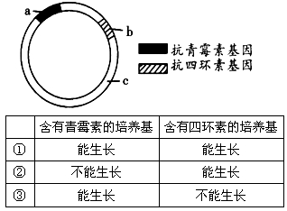 质粒是基因工程中常用的运输工具,某质粒上有两种抗药基因可作为标记基因,a、b、c为三个可能出现的目的基因的插入点,如下图所示。如果用一种限制酶将目的 质粒是基因工程中常用的运输工具,某质粒上有两种抗药基因可作为标记基因,a、b、c为三个可能出现的目的基因的插入点,如下图所示。如果用一种限制酶将目的