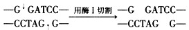 胰岛素可以用于治疗糖尿病,但是胰岛素被注射人人体后,会堆积在皮下,要经过较长时间才能进入血液,而进入血液的胰岛素又容易分解,因此治疗效果受到影响。下 胰岛素可以用于治疗糖尿病,但是胰岛素被注射人人体后,会堆积在皮下,要经过较长时间才能进入血液,而进入血液的胰岛素又容易分解,因此治疗效果受到影响。下