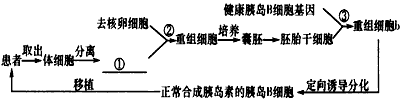 下图是利用现代生物工程技术治疗遗传性糖尿病(基因缺陷导致胰岛B细胞不能正常合成胰岛素)的过程设计图解,请据图回答:(1)图中①所 下图是利用现代生物工程技术治疗遗传性糖尿病(基因缺陷导致胰岛B细胞不能正常合成胰岛素)的过程设计图解,请据图回答:(1)图中①所