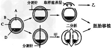 (附加题)下图是对牛胚胎所作的技术处理,请据图分析回答:(1)图中所示牛的胚胎发育处于_______时期。其中A、C、D代表的结 (附加题)下图是对牛胚胎所作的技术处理,请据图分析回答:(1)图中所示牛的胚胎发育处于_______时期。其中A、C、D代表的结