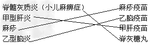 将左边的传染病名称与右边相对应的疫苗用线连接起来。脊髓灰质炎麻疹疫苗甲型肝炎乙脑疫苗麻 将左边的传染病名称与右边相对应的疫苗用线连接起来。脊髓灰质炎麻疹疫苗甲型肝炎乙脑疫苗麻