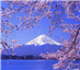 听小对话,请从A、B、C三个选项中选择符合对话的图片。1.Where is Lucy's pen pal from? A B C2.Wha 听小对话,请从A、B、C三个选项中选择符合对话的图片。1.Where is Lucy's pen pal from? A B C2.Wha