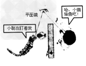 如图所示的情景说明:在光发生反射时,光路是 的。 如图所示的情景说明:在光发生反射时,光路是 的。