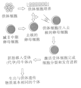 为了大力发展我国的肉牛和奶牛养殖业,科学家们在育种途径上进行了大胆探索,并取得了初步成果。请根据材料,回答下列问题。Ⅰ.2002年1月中旬到2月中旬,中国 为了大力发展我国的肉牛和奶牛养殖业,科学家们在育种途径上进行了大胆探索,并取得了初步成果。请根据材料,回答下列问题。Ⅰ.2002年1月中旬到2月中旬,中国