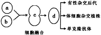 有性生殖的生物产生后代需进行受精作用,植物体细胞杂交要进行原生质体的融合,单克隆抗体的制备需进行动物细胞融合,可见细胞的融合技术有着广泛的应用。下列 有性生殖的生物产生后代需进行受精作用,植物体细胞杂交要进行原生质体的融合,单克隆抗体的制备需进行动物细胞融合,可见细胞的融合技术有着广泛的应用。下列