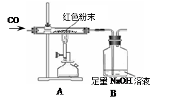 某化学兴趣小组对一包干燥的红色粉末组成进行探究,该红色粉末可能由Cu 、Fe2O3两种固体中的一种或两种组成。红色粉末可能是:①Cu②Fe2O3③C 某化学兴趣小组对一包干燥的红色粉末组成进行探究,该红色粉末可能由Cu 、Fe2O3两种固体中的一种或两种组成。红色粉末可能是:①Cu②Fe2O3③C