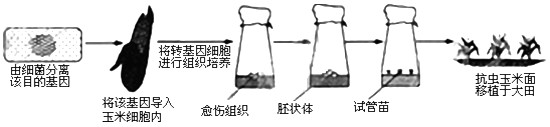 (选做题)很久以前科学家在土壤中发现了某种细菌能制造一种对昆虫有毒的蛋白质,当时许多人就想把编码这一蛋白质的基因(抗虫基因)转移到农作物中,以降低昆 (选做题)很久以前科学家在土壤中发现了某种细菌能制造一种对昆虫有毒的蛋白质,当时许多人就想把编码这一蛋白质的基因(抗虫基因)转移到农作物中,以降低昆