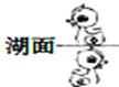 2013年9月6日“大黄鸭”来到北京展出.下列能正确表示“大黄鸭”在水中所成倒影的是A.B.C.D.