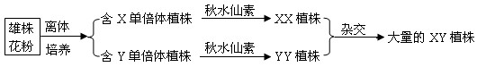 石刁柏(嫩茎俗称芦笋)是一种名贵蔬菜,为XY型性别决定的雌、雄异株植物。野生型石刁柏叶窄,产量低。在某野生种群中,发现生长着少数几株阔叶石刁柏(突变 石刁柏(嫩茎俗称芦笋)是一种名贵蔬菜,为XY型性别决定的雌、雄异株植物。野生型石刁柏叶窄,产量低。在某野生种群中,发现生长着少数几株阔叶石刁柏(突变