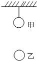 如图,甲、乙两小球质量分别为m1、m2,m2=2m1,两球之间连接了一根轻弹簧,用一段轻绳将甲球系在天花板上.现在烧断细绳的瞬间,甲 魔方格