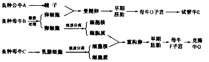 长期以来优良种畜的繁殖速度始终是限制畜牧养殖业发展的瓶颈,近年来发展起来的细胞工程技术和胚胎工程技术为优良种畜的快速繁殖带来了无限生机。下面是科学加 长期以来优良种畜的繁殖速度始终是限制畜牧养殖业发展的瓶颈,近年来发展起来的细胞工程技术和胚胎工程技术为优良种畜的快速繁殖带来了无限生机。下面是科学加
