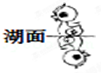 2013年9月6日“大黄鸭”来到北京展出.下列能正确表示“大黄鸭”在水中所成倒影的是A.B.C.D.