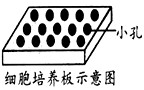 单克隆抗体制备过程中所用的骨髓瘤细胞是一种基因缺陷型细胞,其合成核酸的途径能被氨基嘌呤阻断现将从预先注射了某种抗原的小鼠脾脏中获得的B淋巴细胞与上述 单克隆抗体制备过程中所用的骨髓瘤细胞是一种基因缺陷型细胞,其合成核酸的途径能被氨基嘌呤阻断现将从预先注射了某种抗原的小鼠脾脏中获得的B淋巴细胞与上述