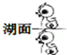 2013年9月6日“大黄鸭”来到北京展出.下列能正确表示“大黄鸭”在水中所成倒影的是A.B.C.D.
