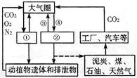 读下图,回答:1.此图可以简单看作是“地理环境中的碳循环”,图中字母代表的地理事物和地理现象的是A.①动物 ②绿色植物 ③O2 ④CO2 B.①动物 ②绿色植物 读下图,回答:1.此图可以简单看作是“地理环境中的碳循环”,图中字母代表的地理事物和地理现象的是A.①动物 ②绿色植物 ③O2 ④CO2 B.①动物 ②绿色植物