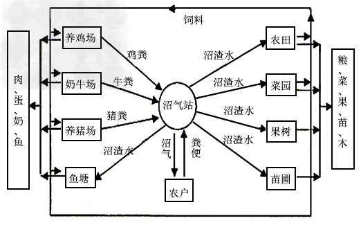 建设社会主义新农村的关键是构建和谐社会,发展生态农业,走可持续发展之路。下图为某地一生态工程建设模式图,请据图回答有关问题:(1)该生态工程以沼 建设社会主义新农村的关键是构建和谐社会,发展生态农业,走可持续发展之路。下图为某地一生态工程建设模式图,请据图回答有关问题:(1)该生态工程以沼