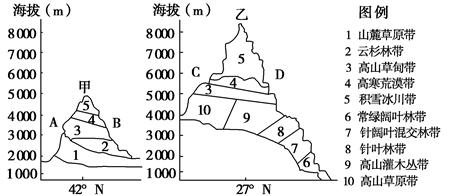 下图是我国不同纬度的两座山的垂直自然带分布图,读图回答下列问题。(10分)(1)图中字母所代表的坡向:B表示________坡,D表示________坡 下图是我国不同纬度的两座山的垂直自然带分布图,读图回答下列问题。(10分)(1)图中字母所代表的坡向:B表示________坡,D表示________坡