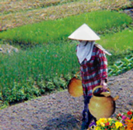 阅读理解。 An old woman had two large pots (罐), one on each end of a pole ( 阅读理解。 An old woman had two large pots (罐), one on each end of a pole (