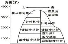秦岭是我国重要的地理分界线,中段主体为太白山,海拔3767米。读下图“秦岭垂直带谱示意图”,回答小题。小题1:导致秦岭出现垂直地域分异的主要原因是A.水分B.热 秦岭是我国重要的地理分界线,中段主体为太白山,海拔3767米。读下图“秦岭垂直带谱示意图”,回答小题。小题1:导致秦岭出现垂直地域分异的主要原因是A.水分B.热