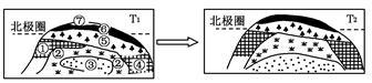 下面是理想大陆自然带(局部)演变趋势图,读图完成题。小题1:在T1时期,下列叙述正确的有( )A.自然带①—②—③与自然带⑤—⑥—⑦体现的分布规律在我国都很典 下面是理想大陆自然带(局部)演变趋势图,读图完成题。小题1:在T1时期,下列叙述正确的有( )A.自然带①—②—③与自然带⑤—⑥—⑦体现的分布规律在我国都很典