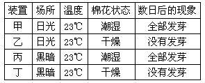某同学在培养皿底部铺上棉花并加入适量的清水,然后把胚具活性且大小相同的豌豆种子各15粒放在棉花上。实验过程与结果如下表,下列叙述正确的是 某同学在培养皿底部铺上棉花并加入适量的清水,然后把胚具活性且大小相同的豌豆种子各15粒放在棉花上。实验过程与结果如下表,下列叙述正确的是