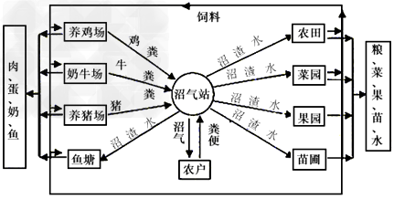 建设社会主义新农村的关键是构建和谐社会,发展生态农业,走可持续发展之路。下图为某地一生态工程建设模式图,请据图回答有关问题:( 建设社会主义新农村的关键是构建和谐社会,发展生态农业,走可持续发展之路。下图为某地一生态工程建设模式图,请据图回答有关问题:(