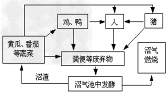 下图是一个庭院生态工程的模式图。请据图分析回答: (1)该图中有食物链_________条。(2)该生态系统中处于第二营养级的生物有______ 下图是一个庭院生态工程的模式图。请据图分析回答: (1)该图中有食物链_________条。(2)该生态系统中处于第二营养级的生物有______