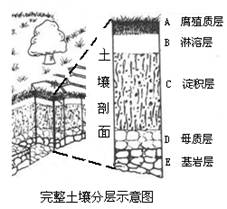 土壤是地理环境的一个要素,其形成和发展受其它地理要素的影响。读下图并结合所学知识回答问题:小题1:在森林土壤和草原土壤中,具有完整土壤分层示意图中的土壤层是__ 土壤是地理环境的一个要素,其形成和发展受其它地理要素的影响。读下图并结合所学知识回答问题:小题1:在森林土壤和草原土壤中,具有完整土壤分层示意图中的土壤层是__