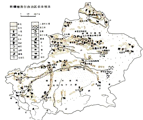 读材料,回答下列问题。材料一:西北地区多年平均降水量分布图 材料二:新疆维吾尔自治区农牧业分布图 根据 读材料,回答下列问题。材料一:西北地区多年平均降水量分布图 材料二:新疆维吾尔自治区农牧业分布图 根据