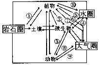读下图,完成下列问题。(1)从物质交换的一般情况看,图中各代号表示的物质分别是:①,②,③,④,⑤,⑥,⑦,⑧,⑨,⑩。(2)⑥和⑦的交换是通过作用进行的。 读下图,完成下列问题。(1)从物质交换的一般情况看,图中各代号表示的物质分别是:①,②,③,④,⑤,⑥,⑦,⑧,⑨,⑩。(2)⑥和⑦的交换是通过作用进行的。
