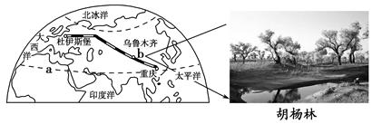 2010年11月“渝新欧”国际铁路全程试运行,铁路从重庆始发,经达州、安康、西安、兰州、乌鲁木齐,向西过阿拉山口,进入哈萨克斯坦,再转向俄罗斯、白俄罗斯、波兰, 2010年11月“渝新欧”国际铁路全程试运行,铁路从重庆始发,经达州、安康、西安、兰州、乌鲁木齐,向西过阿拉山口,进入哈萨克斯坦,再转向俄罗斯、白俄罗斯、波兰,