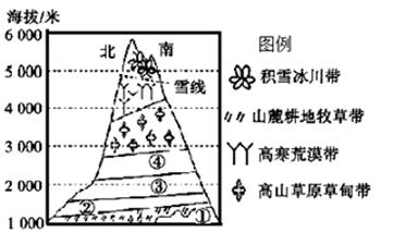 乞力马扎罗山海拔5895米,距离赤道300多千米。据此并结合图,回答下题。小题1:图中自然带①②③④分别表示A.热带雨林带、热带稀树草原带、常绿阔叶林带、落叶阔 乞力马扎罗山海拔5895米,距离赤道300多千米。据此并结合图,回答下题。小题1:图中自然带①②③④分别表示A.热带雨林带、热带稀树草原带、常绿阔叶林带、落叶阔