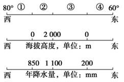 读纬度45°附近某地区的相关数据,其中①④处为海洋,②③处为陆地,80°、60°为当地经度。判断下列叙述正确的是:A.②处沿海为亚热带常绿硬叶林带B.②、③处自 读纬度45°附近某地区的相关数据,其中①④处为海洋,②③处为陆地,80°、60°为当地经度。判断下列叙述正确的是:A.②处沿海为亚热带常绿硬叶林带B.②、③处自