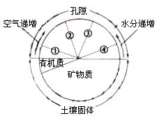 土壤空气和土壤水分贮存于土壤孔隙中,两者体积组成比例常因外界因素影响而此消彼长。下图中虚线①表示土壤中空气和水分所占比例约为4%和46%,读图。完成 土壤空气和土壤水分贮存于土壤孔隙中,两者体积组成比例常因外界因素影响而此消彼长。下图中虚线①表示土壤中空气和水分所占比例约为4%和46%,读图。完成