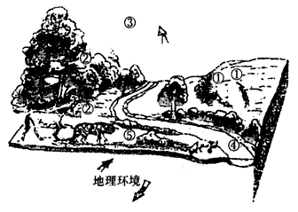 一般说来,全球尺度、全海洋尺度和全大陆尺度等属于大尺度范围,而局部地区则属于小尺度范围。图为小尺度范围地理要素的相互作用示意图。 一般说来,全球尺度、全海洋尺度和全大陆尺度等属于大尺度范围,而局部地区则属于小尺度范围。图为小尺度范围地理要素的相互作用示意图。