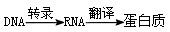 随着科学技术的发展,化学农药的产量和品种逐年增加,但害虫的抗药性也不断增强,对农作物危害仍然很严重。如近年来,棉铃虫在我国大面积暴发成灾,造成严重的经济损 随着科学技术的发展,化学农药的产量和品种逐年增加,但害虫的抗药性也不断增强,对农作物危害仍然很严重。如近年来,棉铃虫在我国大面积暴发成灾,造成严重的经济损