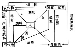 某校研究性学习小组同学前往市郊调查农业生态系统,经过交流和修改后绘制出下图,请据图回答有关问题:(1)你认为该生态系统是否达到良 某校研究性学习小组同学前往市郊调查农业生态系统,经过交流和修改后绘制出下图,请据图回答有关问题:(1)你认为该生态系统是否达到良