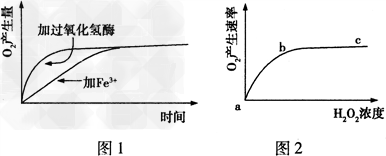 下面两个图是某研究小组探究H2O2分解的条件而获得的实验结果。回答下列有关问题:(1)图1、图2所代表的实验中,实验自变量依次为 下面两个图是某研究小组探究H2O2分解的条件而获得的实验结果。回答下列有关问题:(1)图1、图2所代表的实验中,实验自变量依次为