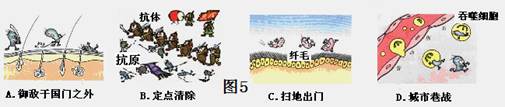 下图是有关免疫的漫画,能形象表示人体第三道防线的是 下图是有关免疫的漫画,能形象表示人体第三道防线的是