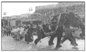 2009年3月5日,以色列一支篮球队的队员在耶路撒冷动物园和一头大象拔河,如图所示。设队员拉绳的力为2500N,大象始终保持静止,那么大象受到地面的 2009年3月5日,以色列一支篮球队的队员在耶路撒冷动物园和一头大象拔河,如图所示。设队员拉绳的力为2500N,大象始终保持静止,那么大象受到地面的