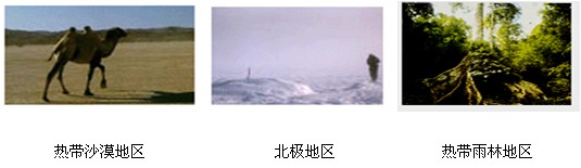 拓展题。想象设计:通过这一学期的学习,我们已经知道了:一个地方的建筑特色与它所在地的自然景观是分不开的,聚落的形成必须适应当地的自然条件和自然资源。以下是 拓展题。想象设计:通过这一学期的学习,我们已经知道了:一个地方的建筑特色与它所在地的自然景观是分不开的,聚落的形成必须适应当地的自然条件和自然资源。以下是