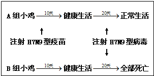 1月20日,中国疾控中心副主任冯子健表示,从去年3月底至今,全国累计报告人感染H7N9确诊病例已超过200例,发病高峰再次出现.冯子健称,H7N9目前没有显现出