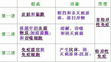 狗常用粘满唾液的舌头舔伤口,结果对伤口有利,唾液中含有的物质及这种方法属于A.溶菌酶、第一道防线B.溶菌酶、第二道防线C.抗体、第二道防线D.抗体、第三 魔方格
