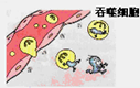 如图是有关免疫的漫画,能形象表示人体第三道防线的是A.御敌于国门之外B.定点清除C.扫地出门D.城市巷战