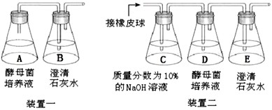 酿酒、做面包都需要酵母菌。某同学想探究酵母菌的呼吸方式(是否在有氧和无氧条件下都能生存),于是进行了如下实验。(1)实验原理:酵母菌在有氧和无氧 酿酒、做面包都需要酵母菌。某同学想探究酵母菌的呼吸方式(是否在有氧和无氧条件下都能生存),于是进行了如下实验。(1)实验原理:酵母菌在有氧和无氧