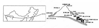 读“我国北方地区示意图”及珠峰垂直自然带分布图,回答问题。⑴写出图中字母所在地的自然带名称:A.,B,C。⑵A、B、C自然带的逐渐更替主要是由于的变化 读“我国北方地区示意图”及珠峰垂直自然带分布图,回答问题。⑴写出图中字母所在地的自然带名称:A.,B,C。⑵A、B、C自然带的逐渐更替主要是由于的变化