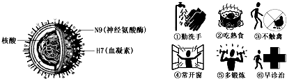 如图是H7N9病毒结构示意图.请回答问题:H7、N9都是病毒外壳的组成成分.从病毒结构组成看,H7、N9应该是病毒组成成分中的______.目前发生 魔方格