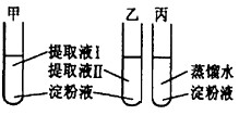 将小麦种子分别置于15℃和30℃培养箱中培养4天,依次取等量的萌发种子分别制成提取液Ⅰ和提取液Ⅱ。取3支试管甲、乙、丙,分别加入等量的淀粉液,然后按下图加 将小麦种子分别置于15℃和30℃培养箱中培养4天,依次取等量的萌发种子分别制成提取液Ⅰ和提取液Ⅱ。取3支试管甲、乙、丙,分别加入等量的淀粉液,然后按下图加