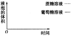 实验室有2瓶质量分数均为30%的葡萄糖溶液和蔗糖溶液。由于不慎丢失了瓶上粘贴的标签。某同学根据质壁分离原理用紫色洋葱鳞片叶的表皮细胞进行了鉴定实验( 实验室有2瓶质量分数均为30%的葡萄糖溶液和蔗糖溶液。由于不慎丢失了瓶上粘贴的标签。某同学根据质壁分离原理用紫色洋葱鳞片叶的表皮细胞进行了鉴定实验(
